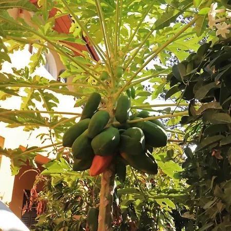 Romantic With Stunning Sea View Родос